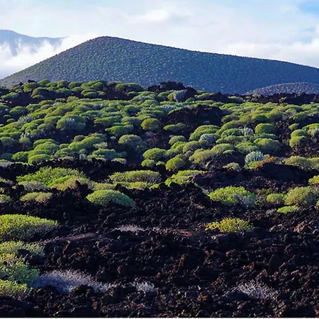 Trip Puertito Pescadores *