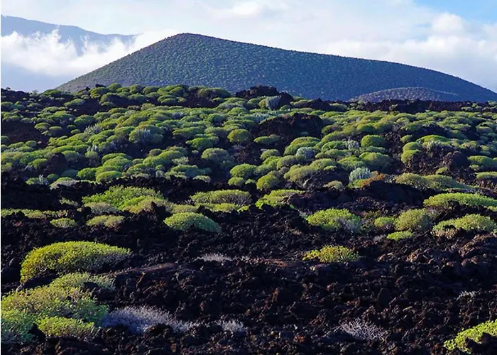 Trip Puertito Pescadores *